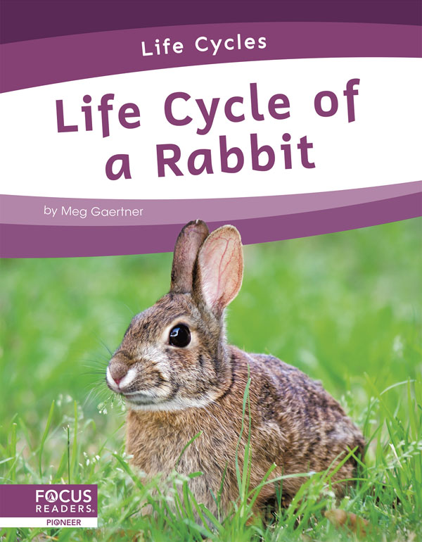 This informative book explains the life cycle of a rabbit, including the stages of development and changes it goes through to become an adult. The book also includes a table of contents, one infographic, informative sidebars, a 