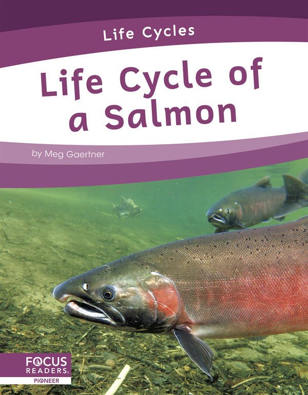 This informative book explains the life cycle of a salmon, including the stages of development and changes it goes through to become an adult. The book also includes a table of contents, one infographic, informative sidebars, a 