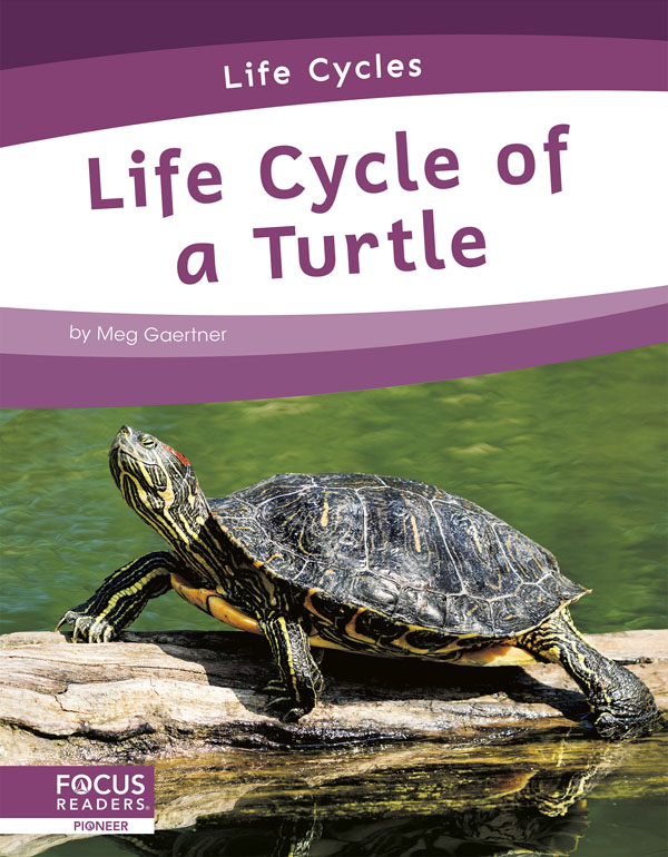 This informative book explains the life cycle of a turtle, including the stages of development and changes it goes through to become an adult. The book also includes a table of contents, one infographic, informative sidebars, a 