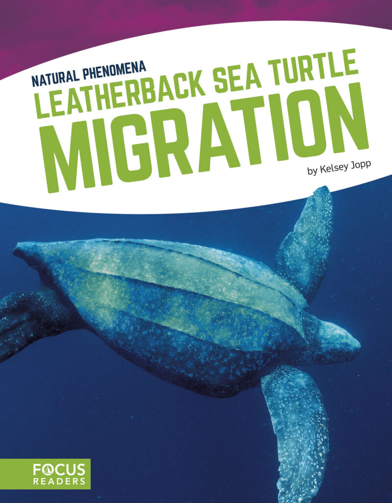 Explains what causes leatherback sea turtles to migrate. Beautiful photos, fact-filled text, and helpful infographics help readers learn all about the science behind this phenomenon as well as ways that people study or protect it.