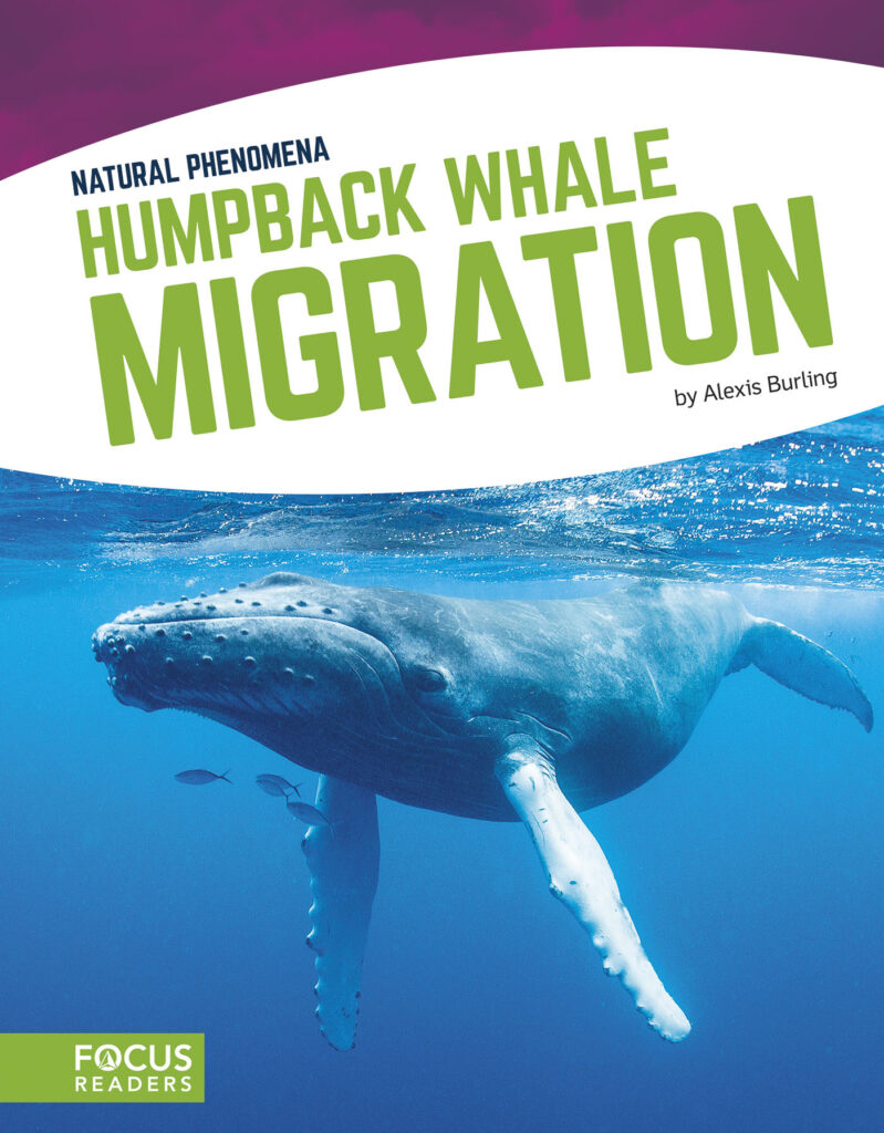Explains what causes humpback whales to migrate. Beautiful photos, fact-filled text, and helpful infographics help readers learn all about the science behind this phenomenon as well as ways that people study or protect it.