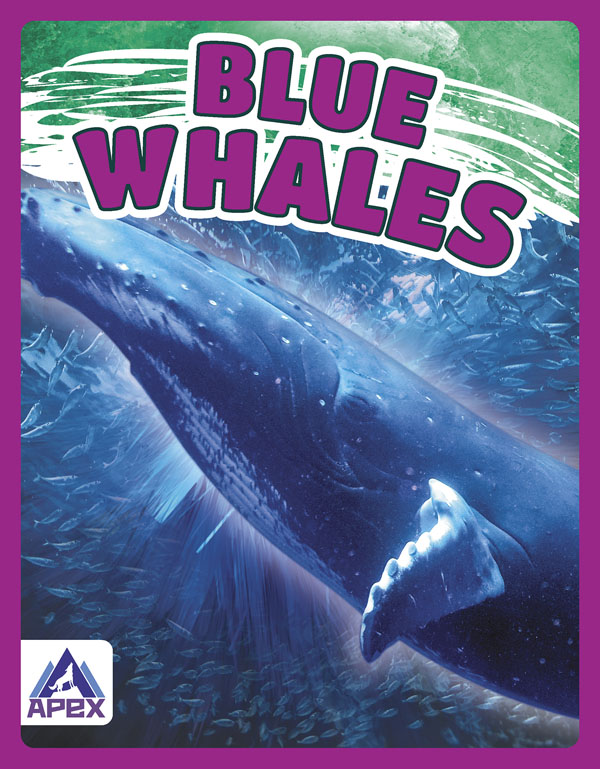This book gives fascinating facts about blue whales and their lives in the wild. Short paragraphs of easy-to-read text are paired with plenty of colorful photos to make reading engaging and accessible. The book also includes a table of contents, fun facts, sidebars, comprehension questions, a glossary, an index, and a list of resources for further reading.