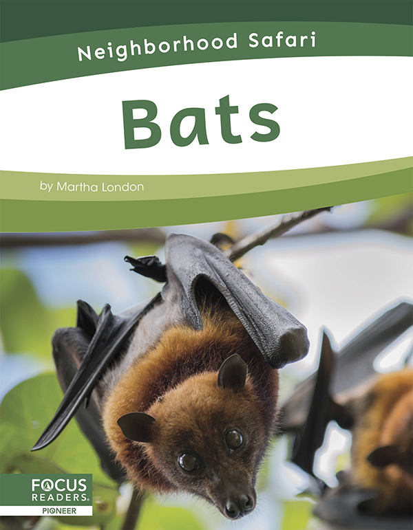This title describes the habitat, life cycle, and adaptations of bats. Simple text and colorful photos give readers an engaging overview of these amazing creatures and the places they live.