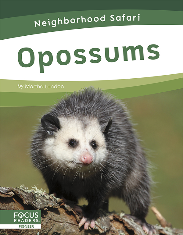 This title describes the habitat, life cycle, and adaptations of opossums. Simple text and colorful photos give readers an engaging overview of these amazing creatures and the places they live.