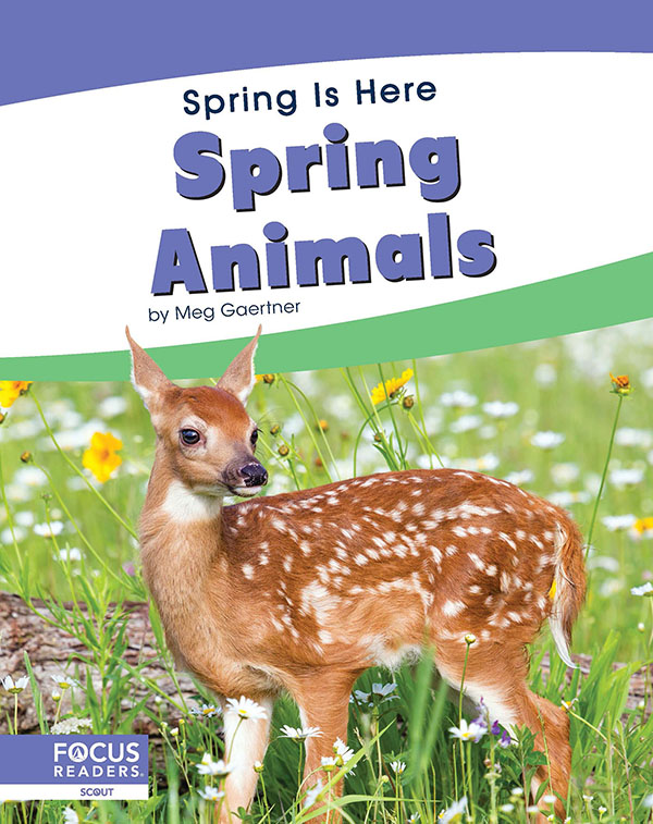 This title introduces readers to the changes animals go through in spring. Simple text, engaging photos, and a photo glossary make this title the perfect introduction to the topic.