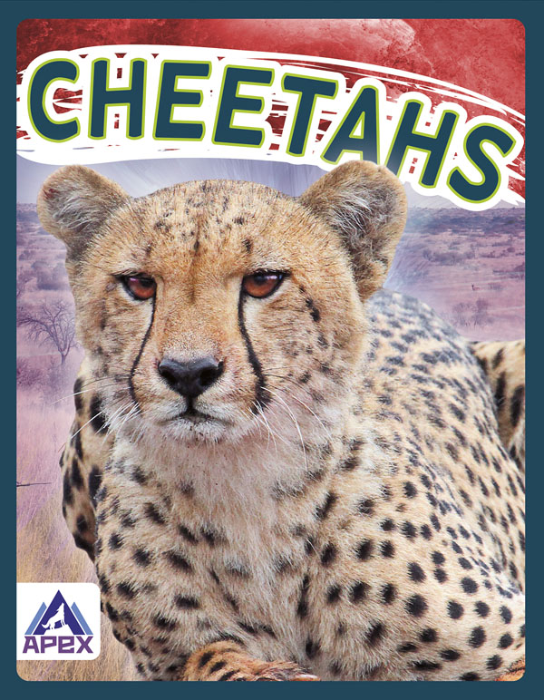 This book gives fascinating facts about cheetahs and their lives in the wild. Short paragraphs of easy-to-read text are paired with plenty of colorful photos to make reading engaging and accessible. The book also includes a table of contents, fun facts, sidebars, comprehension questions, a glossary, an index, and a list of resources for further reading.