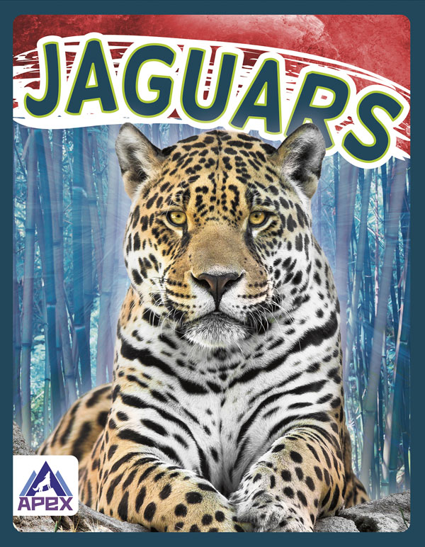 This book gives fascinating facts about jaguars and their lives in the wild. Short paragraphs of easy-to-read text are paired with plenty of colorful photos to make reading engaging and accessible. The book also includes a table of contents, fun facts, sidebars, comprehension questions, a glossary, an index, and a list of resources for further reading.