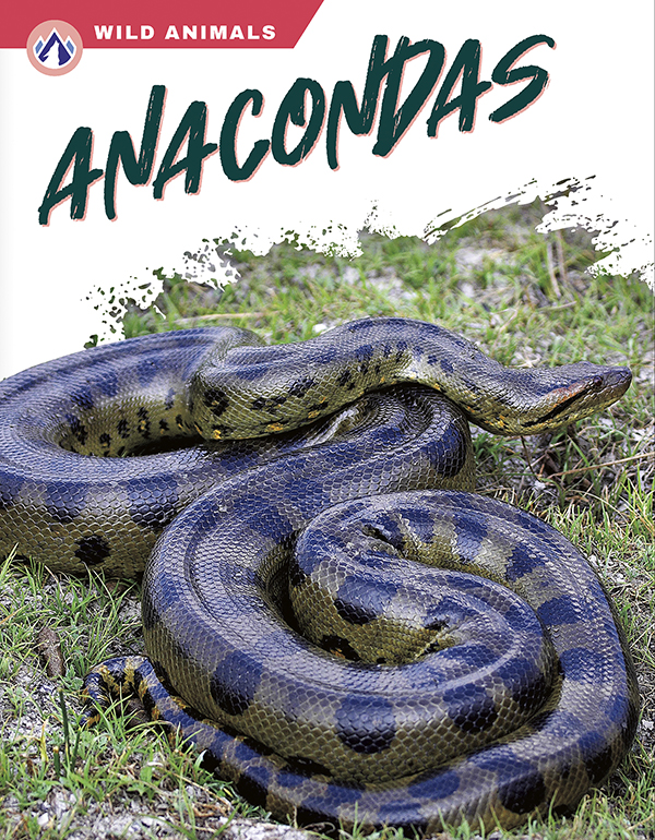 This book gives an engaging overview of anacondas, from their diet and habitat to how they hunt and squeeze prey. Short paragraphs of easy-to-read text are paired with plenty of colorful photos to make reading engaging and accessible. The book also includes a table of contents, fun facts, sidebars, comprehension questions, a glossary, an index, and a list of resources for further reading. Apex books have low reading levels (grades 2-3) but are designed for older students, with interest levels of grades 3-7.