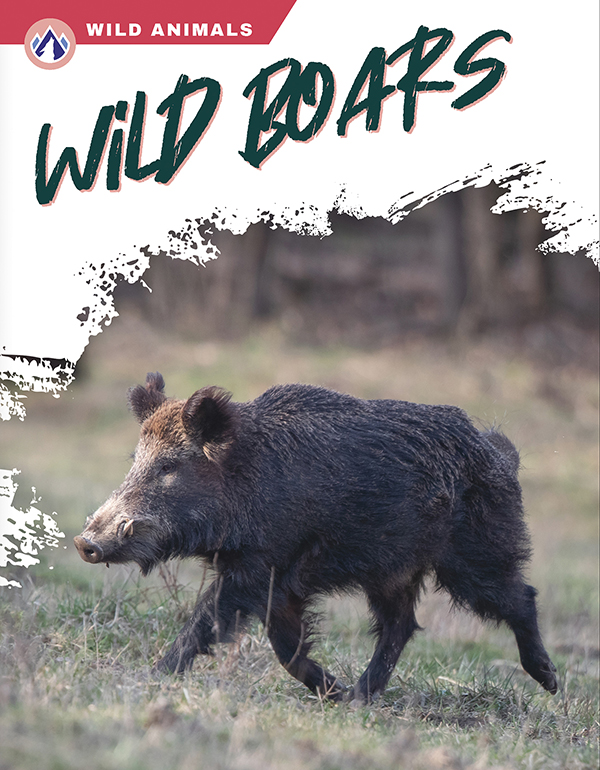 This book gives an engaging overview of wild boars, from their diet and habitat to how they dig up fields for food. Short paragraphs of easy-to-read text are paired with plenty of colorful photos to make reading engaging and accessible. The book also includes a table of contents, fun facts, sidebars, comprehension questions, a glossary, an index, and a list of resources for further reading. Apex books have low reading levels (grades 2-3) but are designed for older students, with interest levels of grades 3-7.