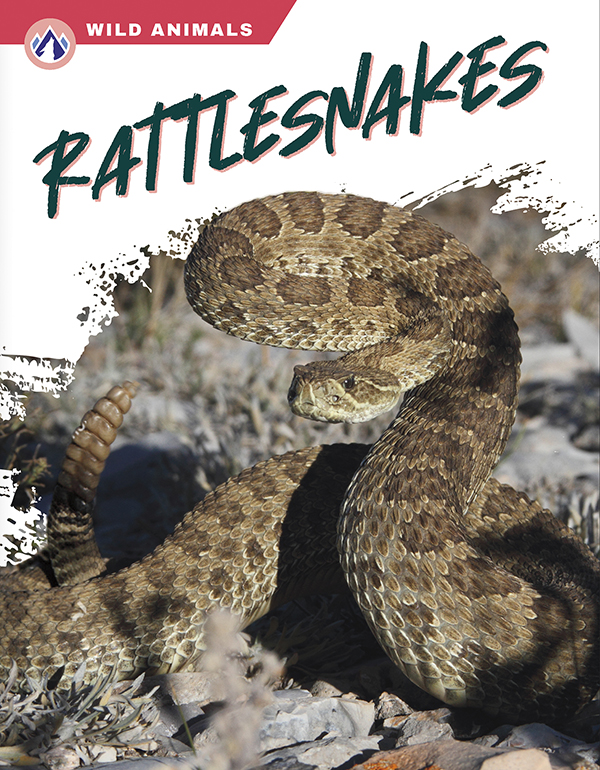 This book gives an engaging overview of rattlesnakes, from their diet and habitat to how they shake their tails as a warning. Short paragraphs of easy-to-read text are paired with plenty of colorful photos to make reading engaging and accessible. The book also includes a table of contents, fun facts, sidebars, comprehension questions, a glossary, an index, and a list of resources for further reading. Apex books have low reading levels (grades 2-3) but are designed for older students, with interest levels of grades 3-7.