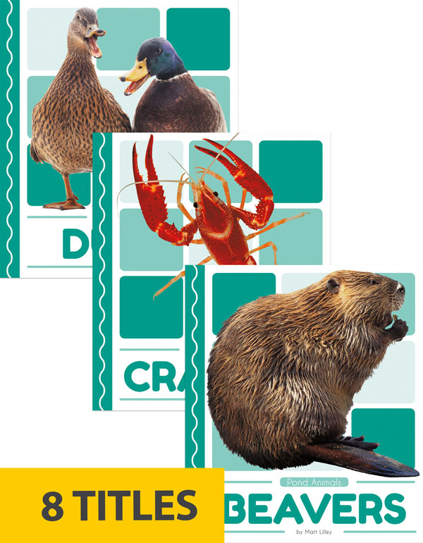 From beavers to ducks to frogs, this series introduces early readers to animals found in ponds. Students learn about each animal’s physical characteristics, behavior, life cycle, and habitat. Labeled diagrams of each animal and fun facts further young readers’ learning.
