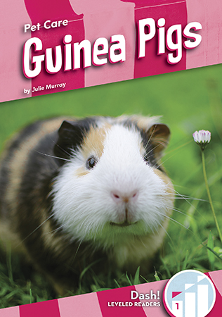 Having a guinea pig is a big responsibility! Readers will learn about what guinea pigs need, like a safe an clean cage and fresh food and water. This is a Level 1 title and is written specifically for beginning readers. Aligned to Common Core Standards and correlated to state standards. Dash! is an imprint of Abdo Zoom, a division of ABDO.