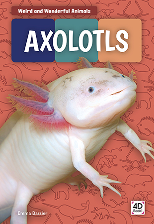 This title offers a compelling look at the behavior, habitat, and life cycle of axolotls. Vivid photographs and easy-to-read text aid comprehension for readers. Features include a table of contents, two infographics, fun facts, a sidebar, Making Connections questions, a glossary, and an index. QR Codes in the book give readers access to book-specific resources to further their learning.