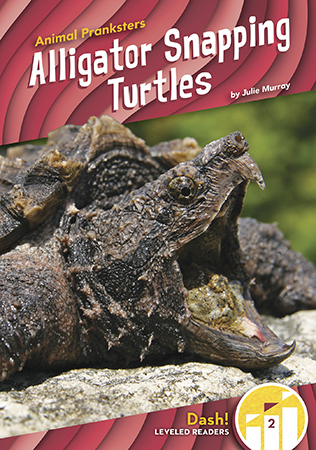 This emerging reader title looks at alligator snapping turtles and the very clever way they trick their prey. The title also covers where these animals can be found, what they look like, and what they like to eat. This series is at a Level 2 and is written specifically for emerging readers. Aligned to the Common Core standards & correlated to state standards.