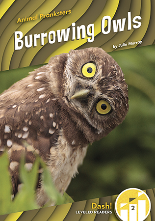 This emerging reader title looks at burrowing owls and the very clever way they trick their prey. The title also covers where these animals can be found, what they look like, and what they like to eat. This series is at a Level 2 and is written specifically for emerging readers. Aligned to the Common Core standards & correlated to state standards.