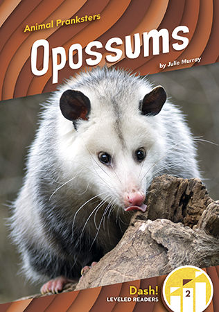 This emerging reader title looks at opossums and the very clever way they trick potential predators. The title also covers where these animals can be found, what they look like, and what they like to eat. This series is at a Level 2 and is written specifically for emerging readers. Aligned to the Common Core standards & correlated to state standards.