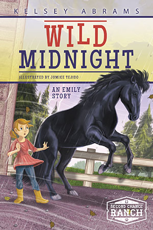 Emily has her heart set on rescuing a wild mustang, but her family gets outbid at an auction. Instead she settles for helping a nearby ranch muck out stalls where some of the mustangs now reside. She quickly earns a reputation as a horse whisperer for her ability to calm Midnight, a horse that others cannot control. But even Emily can’t help when a tornado blows through the area and Midnight gets loose. Or can she?

At Second Chance Ranch, the Ramirez family works to find homes for all kinds of animals on their 200-acre ranch in Texas. Sisters Natalie (12), Abby (10), and twins Emily and Grace (9) all do their part to give each animal the second chance it deserves.