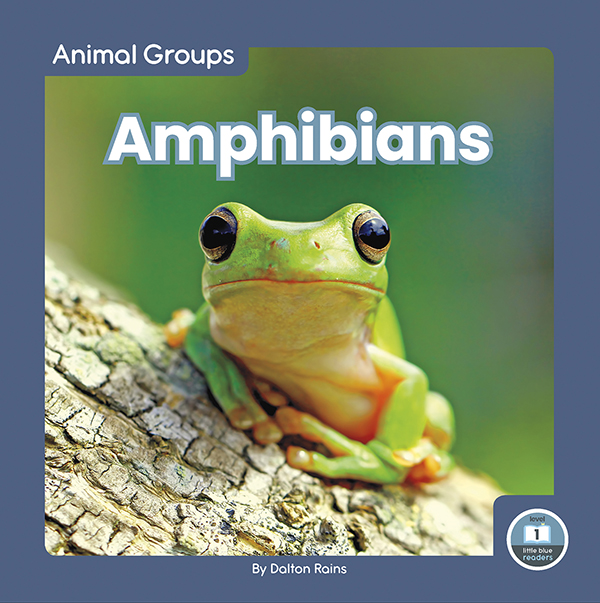 This fun book provides an easy-to-read introduction to amphibians. The book features simple text and vibrant photos, making it a perfect choice for beginning readers. It also includes a table of contents, infographic, picture glossary, and index. This Little Blue Readers book is at Level 1, aligned to reading levels of grades PreK-1 and interest levels of grades PreK-2.