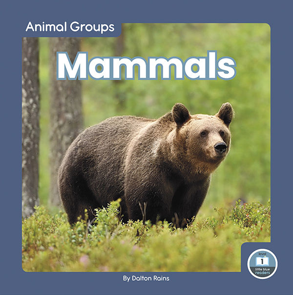 This fun book provides an easy-to-read introduction to mammals. The book features simple text and vibrant photos, making it a perfect choice for beginning readers. It also includes a table of contents, picture glossary, and index. This Little Blue Readers book is at Level 1, aligned to reading levels of grades PreK-1 and interest levels of grades PreK-2.