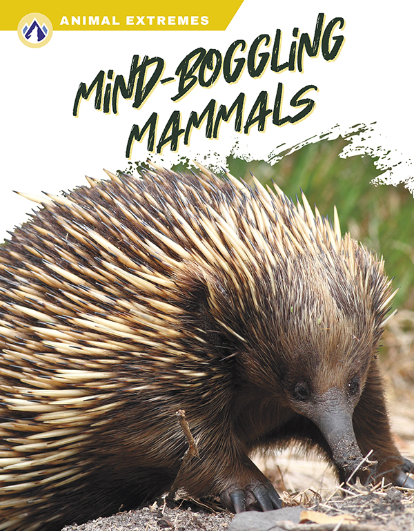 This book highlights mammals with surprisingly strange looks or behaviors. Short paragraphs of easy-to-read text and plenty of colorful photos make reading simple and exciting. The book also includes a table of contents, fun facts, sidebars, comprehension questions, a glossary, an index, and a list of resources for further reading. Apex books have low reading levels (grades 2-3) but are designed for older students, with interest levels of grades 3-7.