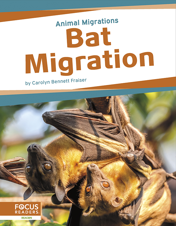 This book offers young readers an exciting look at bat migration, focusing on the reasons these animals make their journeys and the places they travel to. The book also includes an 