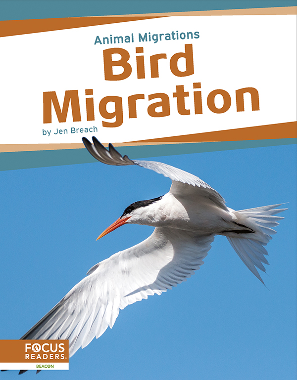 This book offers young readers an exciting look at bird migration, focusing on the reasons these animals make their journeys and the places they travel to. The book also includes an 