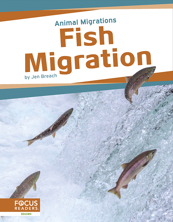 This book offers young readers an exciting look at fish migration, focusing on the reasons these animals make their journeys and the places they travel to. The book also includes an 