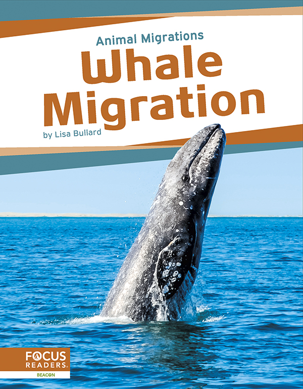 This book offers young readers an exciting look at whale migration, focusing on the reasons these animals make their journeys and the places they travel to. The book also includes an 
