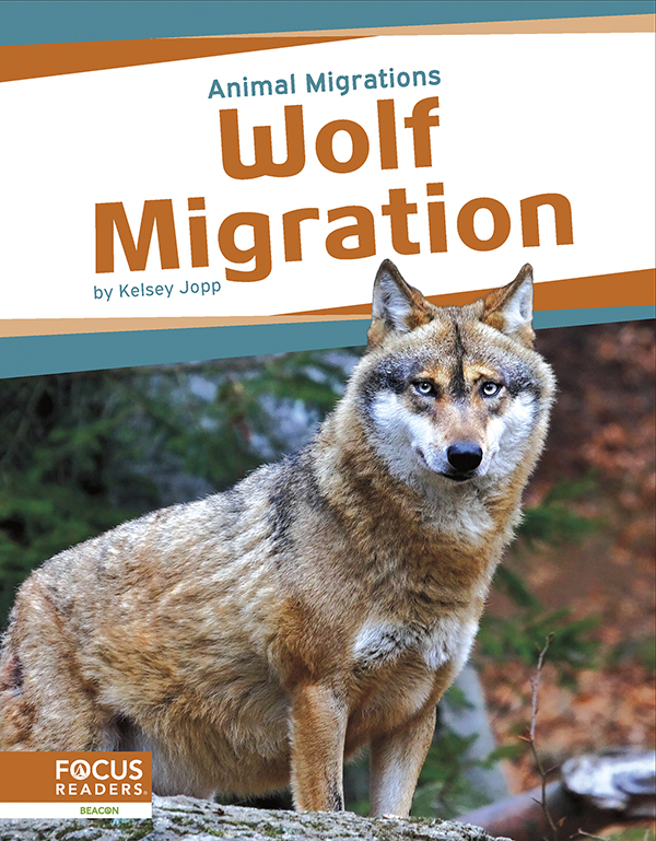 This book offers young readers an exciting look at wolf migration, focusing on the reasons these animals make their journeys and the places they travel to. The book also includes an 