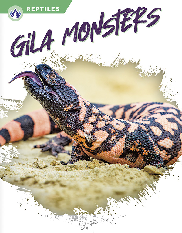This book gives an engaging overview of Gila monsters, from their diet and habitat to their venomous bites. Short paragraphs of easy-to-read text are paired with plenty of colorful photos to make reading engaging and accessible. The book also includes a table of contents, fun facts, sidebars, comprehension questions, a glossary, an index, and a list of resources for further reading. Apex books have low reading levels (grades 2-3) but are designed for older students, with interest levels of grades 3-7.
