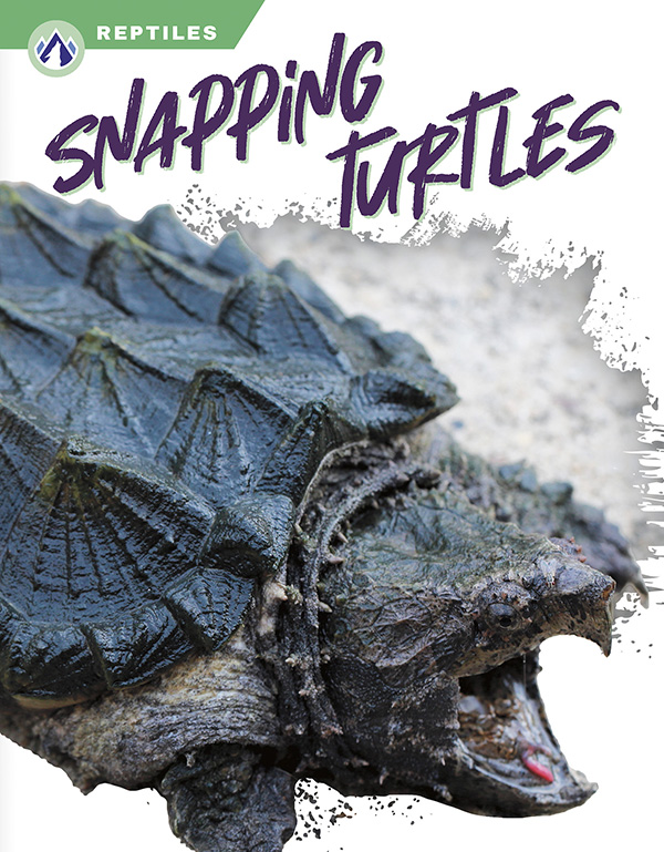 This book gives an engaging overview of snapping turtles, from their diet and habitat to their powerful jaws for catching prey. Short paragraphs of easy-to-read text are paired with plenty of colorful photos to make reading engaging and accessible. The book also includes a table of contents, fun facts, sidebars, comprehension questions, a glossary, an index, and a list of resources for further reading. Apex books have low reading levels (grades 2-3) but are designed for older students, with interest levels of grades 3-7.