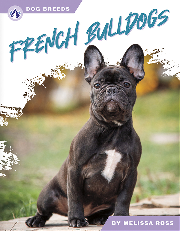 This accessible book explores the history and famous traits of French bulldogs. Short paragraphs of easy-to-read text are paired with plenty of colorful photos to make reading engaging and accessible. The book also includes a table of contents, fun facts, sidebars, comprehension questions, a glossary, an index, and a list of resources for further reading. Apex books have low reading levels (grades 2-3) but are designed for older students, with interest levels of grades 3-7.