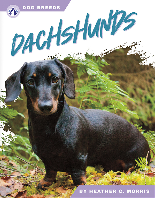 This accessible book explores the history and famous traits of dachshunds. Short paragraphs of easy-to-read text are paired with plenty of colorful photos to make reading engaging and accessible. The book also includes a table of contents, fun facts, sidebars, comprehension questions, a glossary, an index, and a list of resources for further reading. Apex books have low reading levels (grades 2-3) but are designed for older students, with interest levels of grades 3-7.