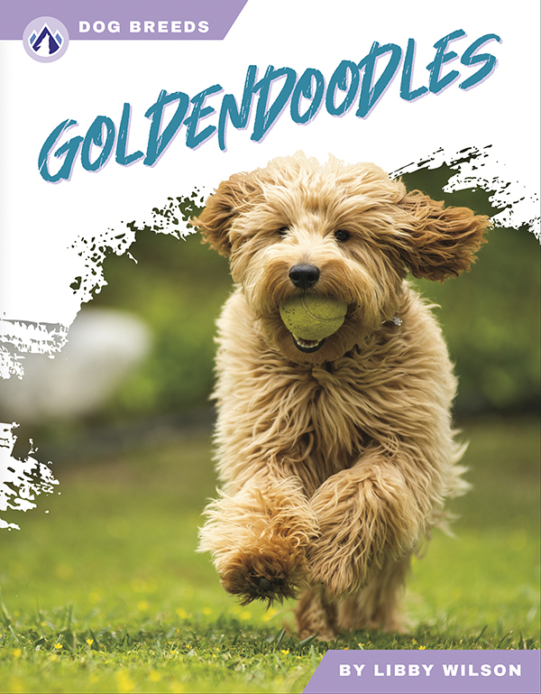 This accessible book explores the history and famous traits of goldendoodles. Short paragraphs of easy-to-read text are paired with plenty of colorful photos to make reading engaging and accessible. The book also includes a table of contents, fun facts, sidebars, comprehension questions, a glossary, an index, and a list of resources for further reading. Apex books have low reading levels (grades 2-3) but are designed for older students, with interest levels of grades 3-7.