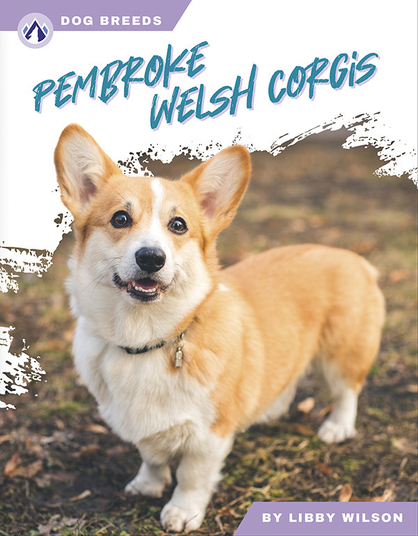 This accessible book explores the history and famous traits of Pembroke Welsh corgis. Short paragraphs of easy-to-read text are paired with plenty of colorful photos to make reading engaging and accessible. The book also includes a table of contents, fun facts, sidebars, comprehension questions, a glossary, an index, and a list of resources for further reading. Apex books have low reading levels (grades 2-3) but are designed for older students, with interest levels of grades 3-7.
