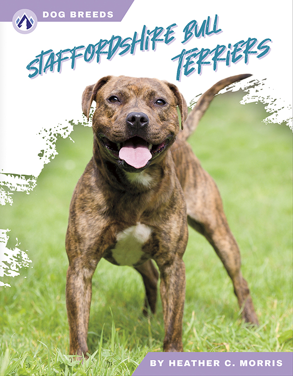 This accessible book explores the history and famous traits of Staffordshire bull terriers. Short paragraphs of easy-to-read text are paired with plenty of colorful photos to make reading engaging and accessible. The book also includes a table of contents, fun facts, sidebars, comprehension questions, a glossary, an index, and a list of resources for further reading. Apex books have low reading levels (grades 2-3) but are designed for older students, with interest levels of grades 3-7.