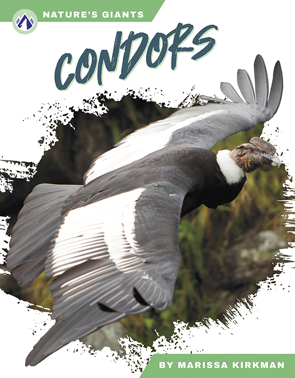 This book describes the habitats, diet, and life cycle of condors. Short paragraphs of easy-to-read text are paired with plenty of colorful photos to make reading engaging and accessible. The book also includes a table of contents, fun facts, sidebars, comprehension questions, a glossary, an index, and a list of resources for further reading. Apex books have low reading levels (grades 2-3) but are designed for older students, with interest levels of grades 3-7.