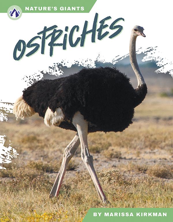 This book describes the habitats, diet, and life cycle of ostriches. Short paragraphs of easy-to-read text are paired with plenty of colorful photos to make reading engaging and accessible. The book also includes a table of contents, fun facts, sidebars, comprehension questions, a glossary, an index, and a list of resources for further reading. Apex books have low reading levels (grades 2-3) but are designed for older students, with interest levels of grades 3-7.