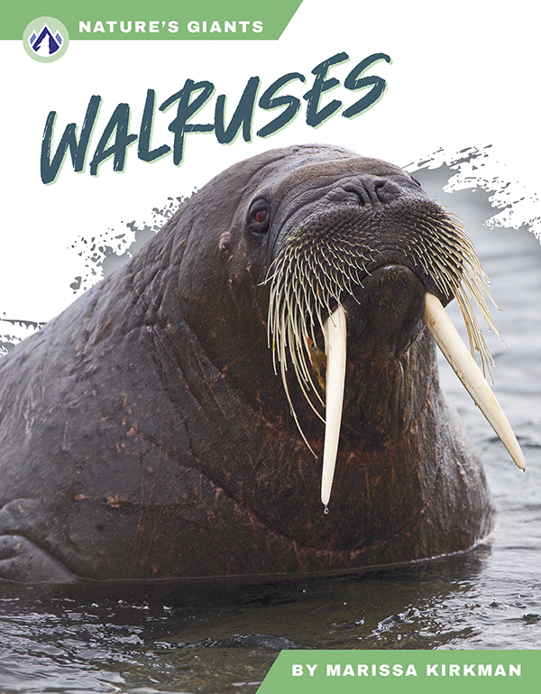 This book describes the habitats, diet, and life cycle of walruses. Short paragraphs of easy-to-read text are paired with plenty of colorful photos to make reading engaging and accessible. The book also includes a table of contents, fun facts, sidebars, comprehension questions, a glossary, an index, and a list of resources for further reading. Apex books have low reading levels (grades 2-3) but are designed for older students, with interest levels of grades 3-7.