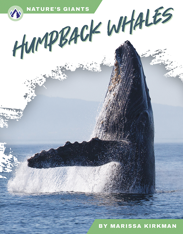 This book describes the habitats, diet, and life cycle of humpback whales. Short paragraphs of easy-to-read text are paired with plenty of colorful photos to make reading engaging and accessible. The book also includes a table of contents, fun facts, sidebars, comprehension questions, a glossary, an index, and a list of resources for further reading. Apex books have low reading levels (grades 2-3) but are designed for older students, with interest levels of grades 3-7.