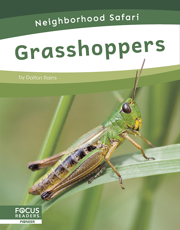 This informative book describes the habitats, life cycle, and adaptations of grasshoppers. This book also features an 