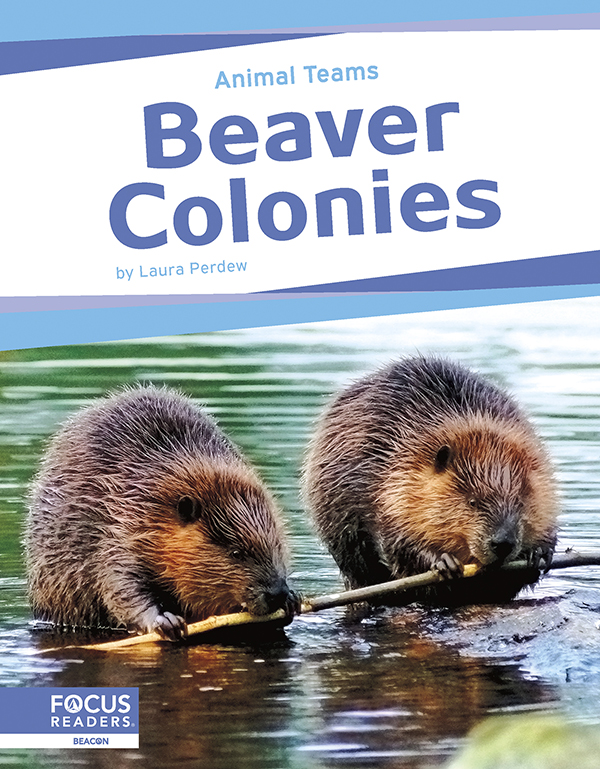 This exciting book explores how beavers in beaver colonies work as a team. The book describes how beavers live together, protect and care for younger beavers, and help the whole group survive. The book also features a “That’s Amazing!