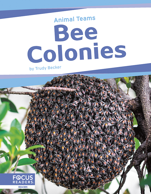 This exciting book explores how bees in bee colonies work as a team. The book describes how each bee helps the whole colony, how bees communicate, and how bees accomplish goals together so the colony can survive. The book also features a “That’s Amazing!