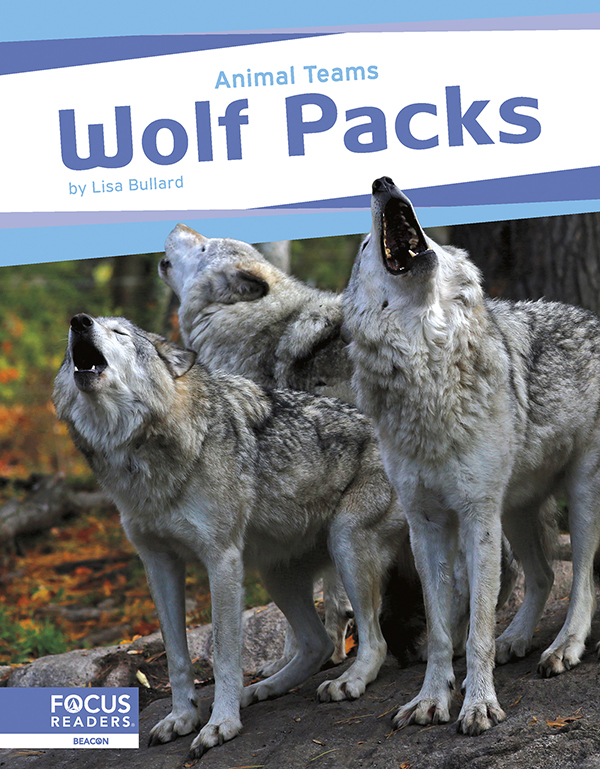 This exciting book explores how wolves in wolf packs work as a team. The book describes how wolf packs raise young, how they hunt together, how they communicate, and how they protect one another. The book also features a “That’s Amazing!